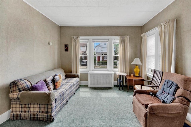49 Boone St, Yonkers, NY 10704 - carpeted living room featuring radiator