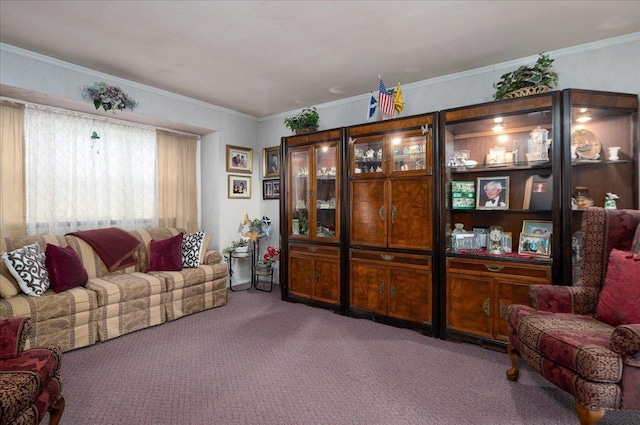 30 Nims Ave, West Babylon, NY 11704 - carpeted living room featuring ornamental molding