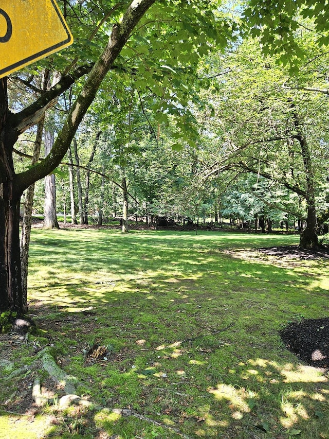 5 Sophia St, Monsey, NY 10952 - view of green lawn