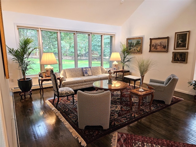 5 Sophia St, Monsey, NY 10952 - living area featuring vaulted ceiling, dark wood finished floors, and a baseboard heating unit