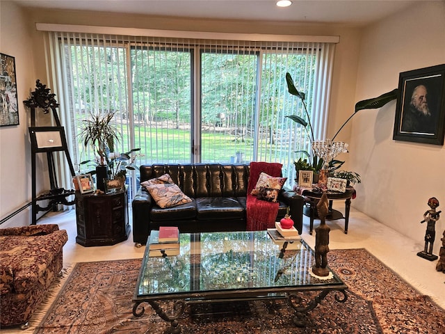 5 Sophia St, Monsey, NY 10952 - living room with healthy amount of natural light and recessed lighting