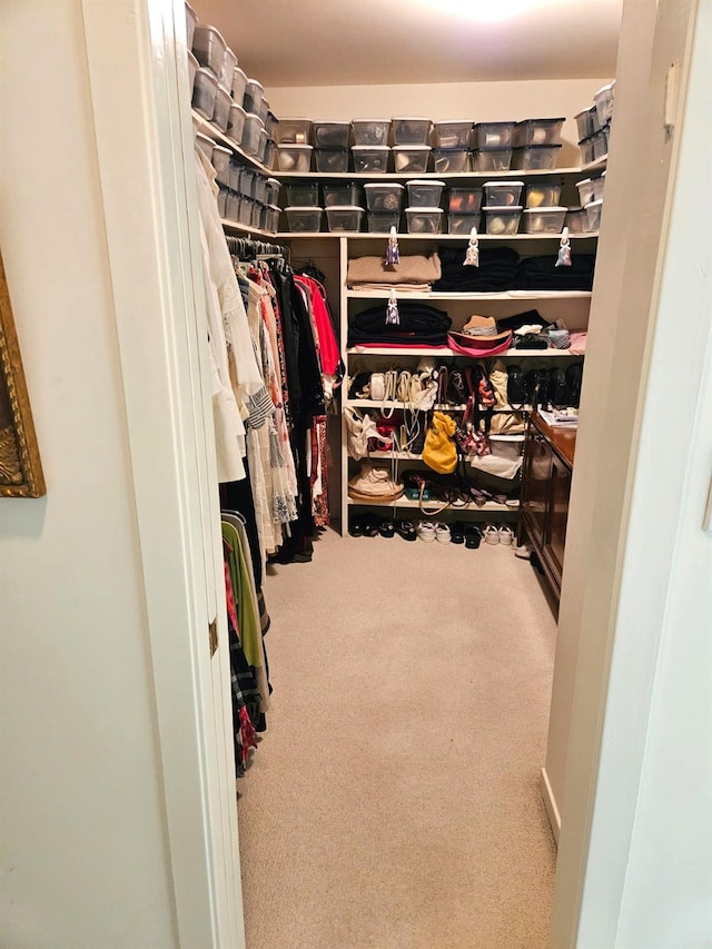 5 Sophia St, Monsey, NY 10952 - spacious closet with carpet