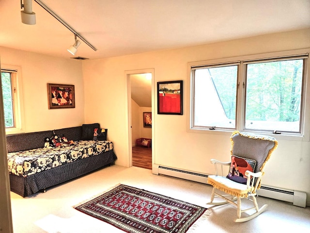 5 Sophia St, Monsey, NY 10952 - living room with a baseboard radiator, plenty of natural light, and rail lighting