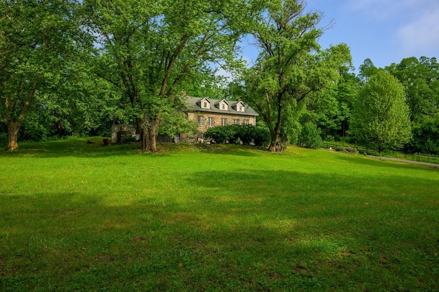 424 Bronck Mill Rd, Coxsackie, NY 12192 - view of green lawn
