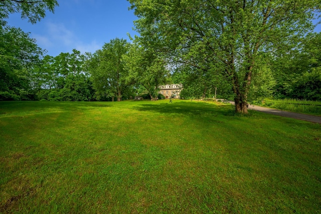 424 Bronck Mill Rd, Coxsackie, NY 12192 - view of green lawn