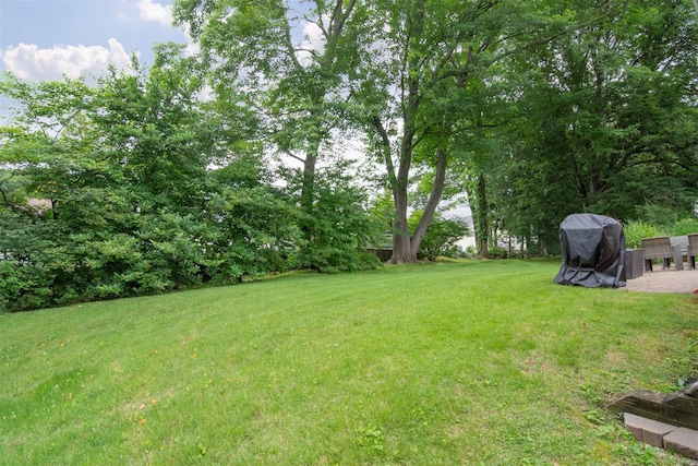 38 Balmoral Cres, White Plains, NY 10607 - view of green lawn