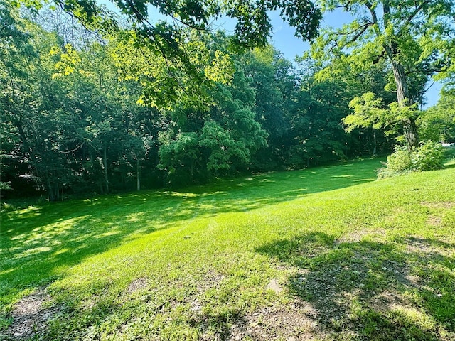 312 Coldenham Rd, Walden, NY 12586 - view of green lawn
