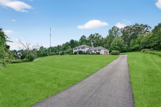 561 Toleman Rd, Rock Tavern, NY 12575 - ranch-style house with a front lawn and asphalt driveway