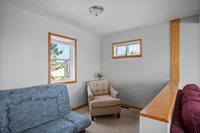 100 Deforest Rd Unit 701, Montauk, NY 11954 - living area with carpet and baseboards