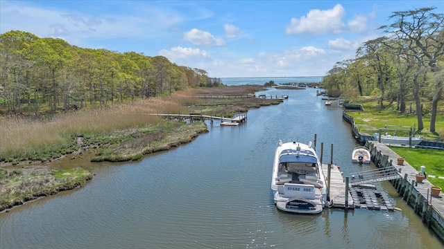 65 Pine Edge Dr, East Moriches, NY 11940 - photo 41