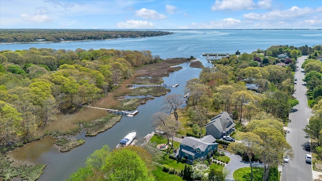 65 Pine Edge Dr, East Moriches, NY 11940 - photo 42