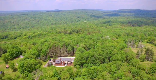 285 Goff Rd, Livingston Manor, NY 12758 - photo 31