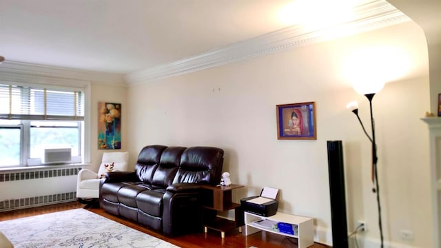 67-38 108st St Unit A53, Forest Hills, NY 11375 - living area with radiator, crown molding, and wood finished floors