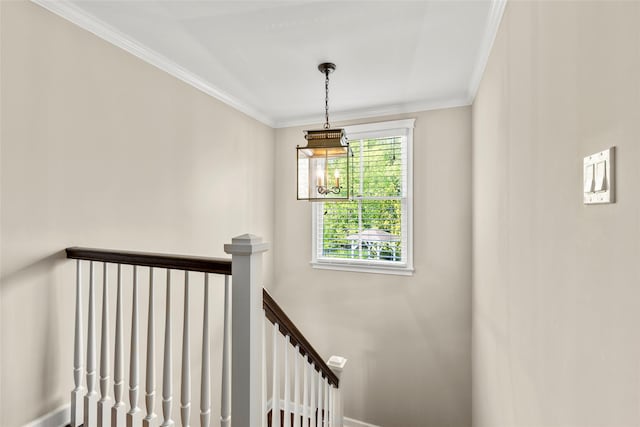 16 Dyke Rd, Setauket, NY 11733 - stairs featuring crown molding and baseboards