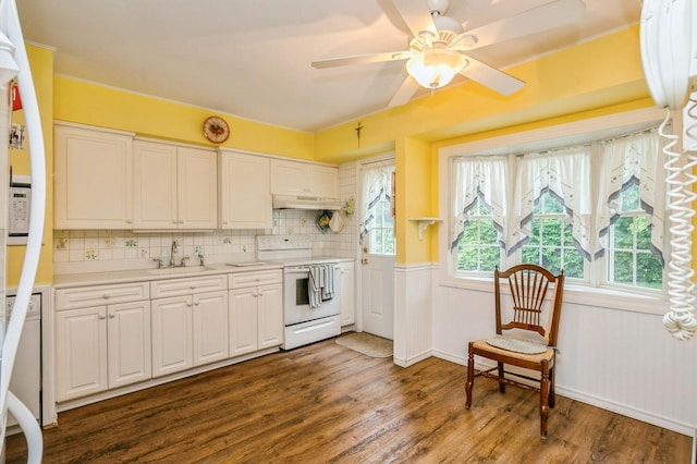 76 Roebling Pl E, Northport, NY 11731 - kitchen featuring white electric stove, under cabinet range hood, dark wood-style flooring, and white cabinets