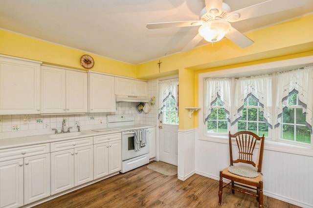 76 Roebling Pl E, Northport, NY 11731 - kitchen with white range with electric cooktop, dark wood-style floors, white cabinetry, and backsplash