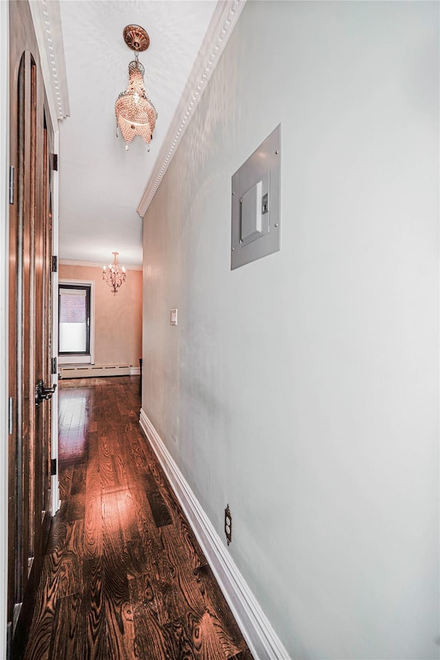 237 Eldridge St Unit 3 & 4, New York Manhattan, NY 10002 - hall with electric panel, a baseboard heating unit, ornamental molding, wood finished floors, and a chandelier