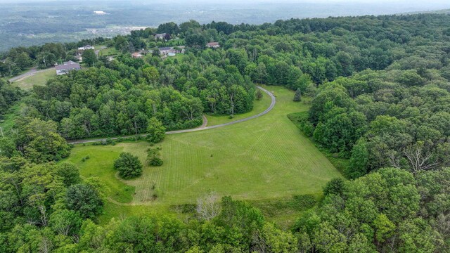 34 Hide Away Ln, Bloomingburg, NY 12721 - photo 3