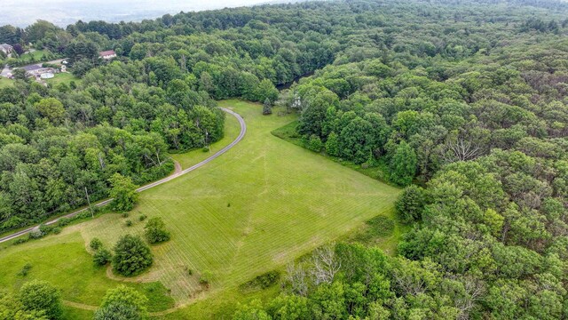 34 Hide Away Ln, Bloomingburg, NY 12721 - photo 25