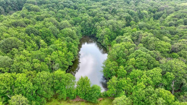 34 Hide Away Ln, Bloomingburg, NY 12721 - photo 27