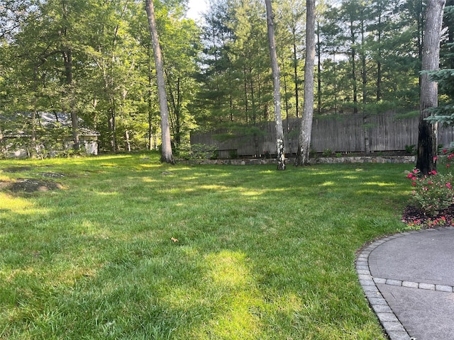 5 Odell Dr, Stony Point, NY 10980 - view of yard