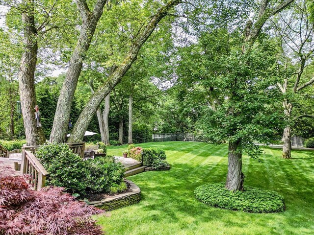 14 Pine Dr, Woodbury, NY 11797 - view of yard