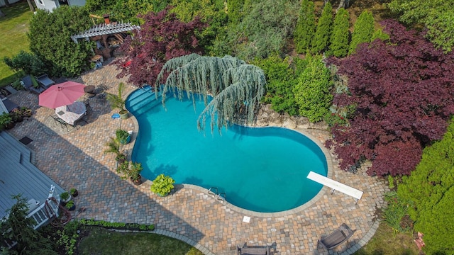 59 Lidge Dr, Farmingville, NY 11738 - aerial view of a pool area