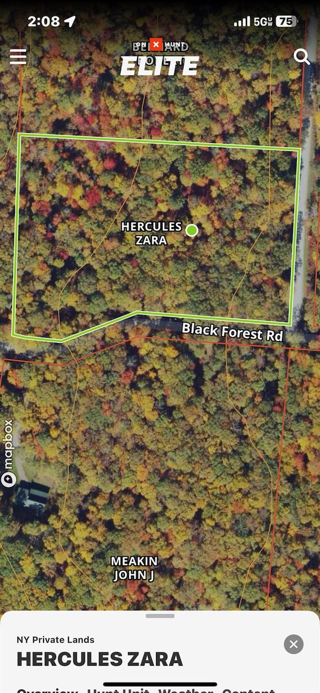 Black Forest Rd, Glen Spey, NY 12737