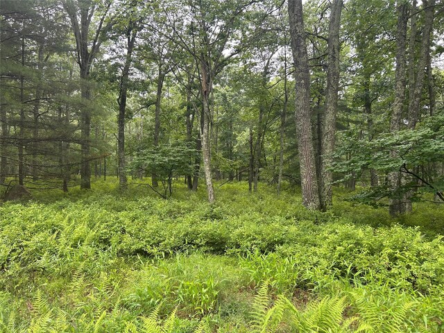 Black Forest Rd, Glen Spey, NY 12737