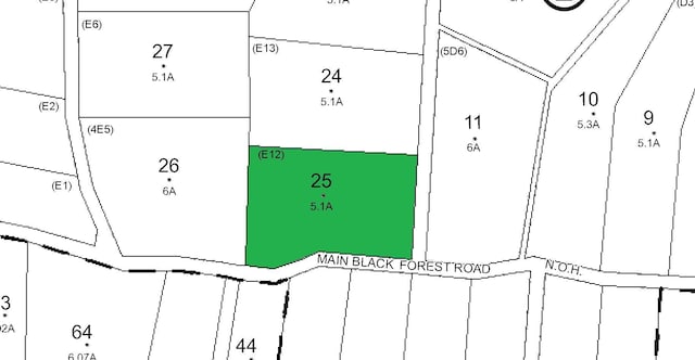 Black Forest Rd, Glen Spey, NY 12737