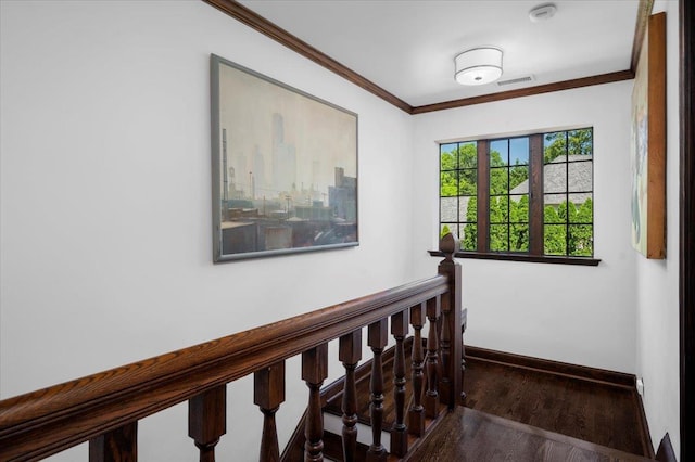 566 Forest Ave, New Rochelle, NY 10804 - photo 13