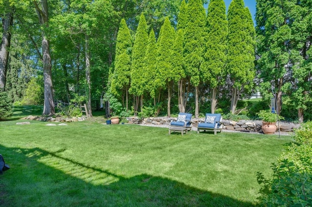 566 Forest Ave, New Rochelle, NY 10804 - photo 29