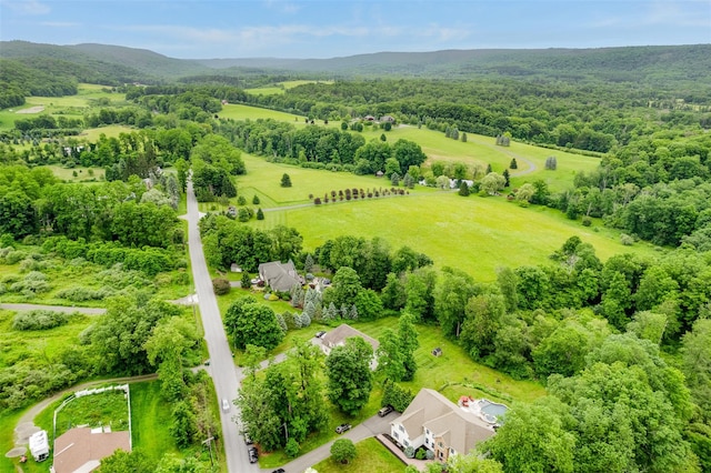 46 Duncan Rd, Lagrangeville, NY 12540 - photo 39