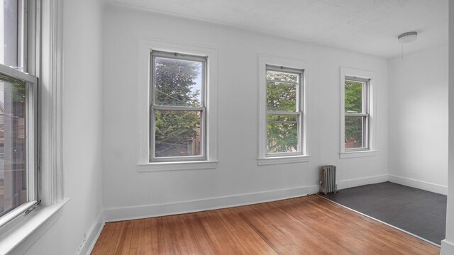 145-50 107th Ave, Jamaica, NY 11435 - photo 8