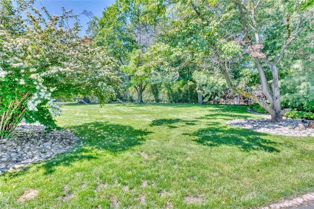 84 Highview Ave, Nanuet, NY 10954 - view of green lawn