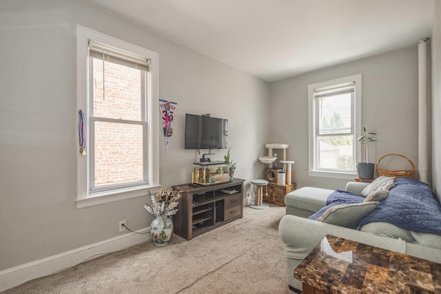 40-29 201st St Unit A, B, C, Bayside, NY 11361 - living room with carpet floors