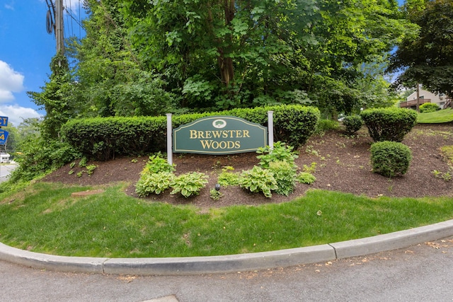 46 Brewster Woods Dr Unit 46, Brewster, NY 10509 - photo 1