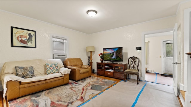 236 N High St, Mount Vernon, NY 10550 - living area featuring ornamental molding