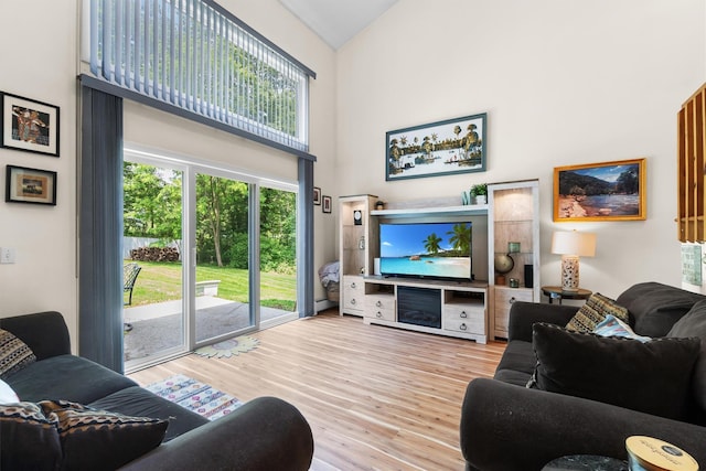 5 Rose Ests Unit 2, Walden, NY 12586 - living room with high vaulted ceiling and wood finished floors