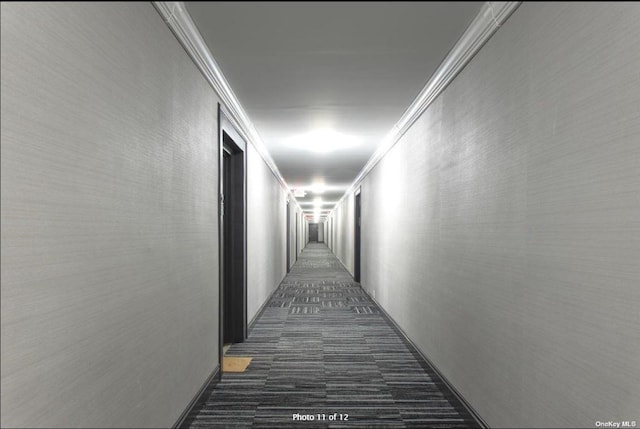 125 Main St Unit 2H, Port Washington, NY 11050 - hallway featuring crown molding and dark colored carpet
