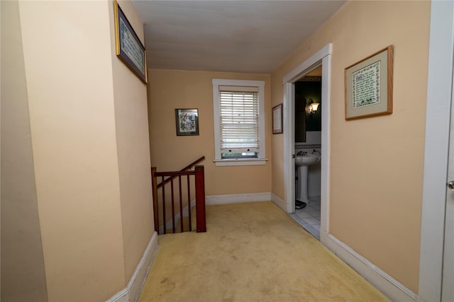 11 Ogden Ave, White Plains, NY 10605 - photo 8