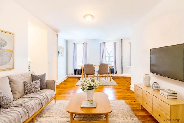 6109 39th Ave Unit J3, Woodside, NY 11377 - living area with light wood-type flooring