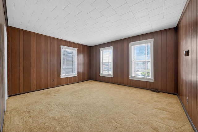 16 King St, Port Jervis, NY 12771 - carpeted empty room with wooden walls