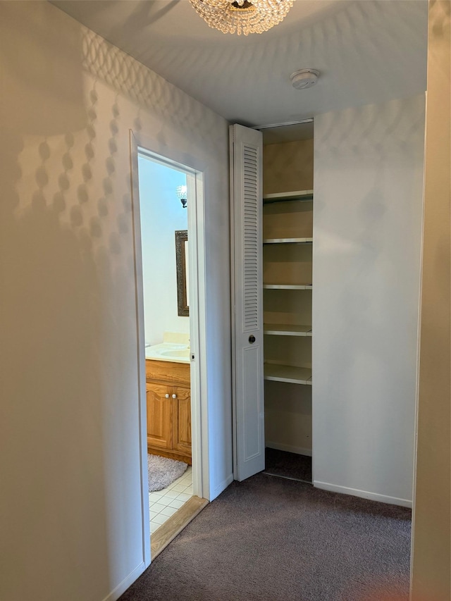 1012 Skyline Dr, Coram, NY 11727 - view of closet