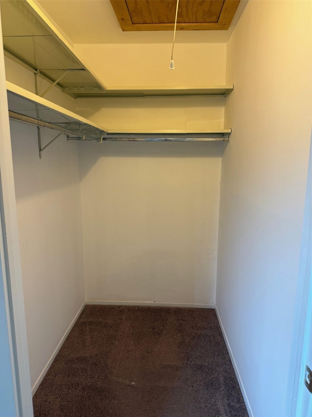 1012 Skyline Dr, Coram, NY 11727 - walk in closet featuring carpet flooring and attic access