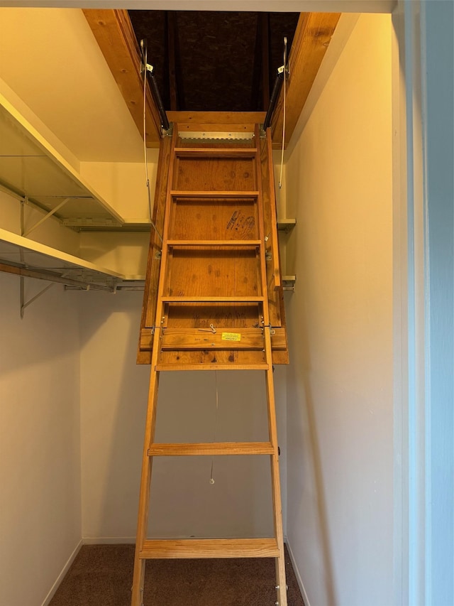 1012 Skyline Dr, Coram, NY 11727 - walk in closet featuring carpet floors