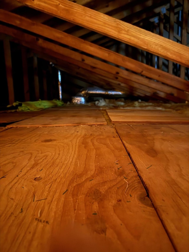 1012 Skyline Dr, Coram, NY 11727 - view of attic