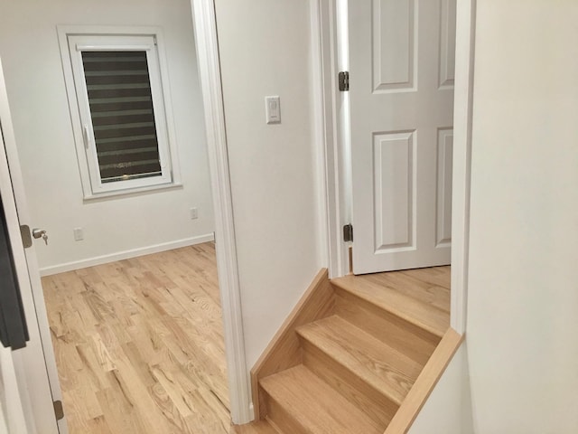 57-16 66th St, Maspeth, NY 11378 - photo 8