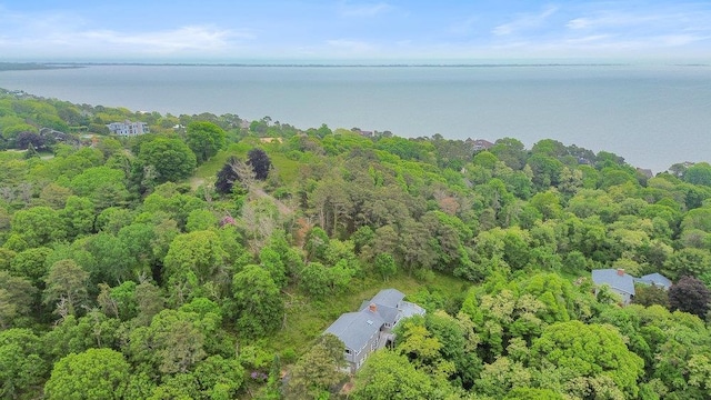 542 Montauk Hwy, Southampton, NY 11968 - bird's eye view of a heavily wooded area and a nearby body of water