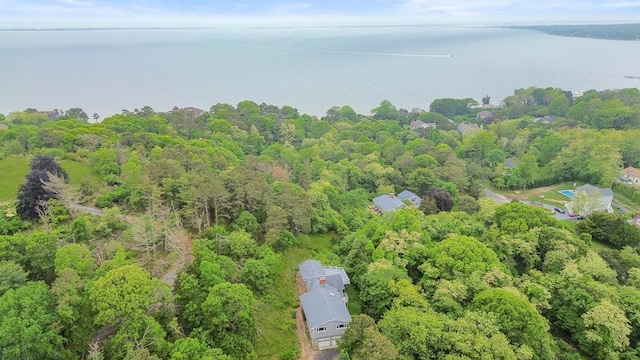 542 Montauk Hwy, Southampton, NY 11968 - aerial view of a forest and a nearby body of water